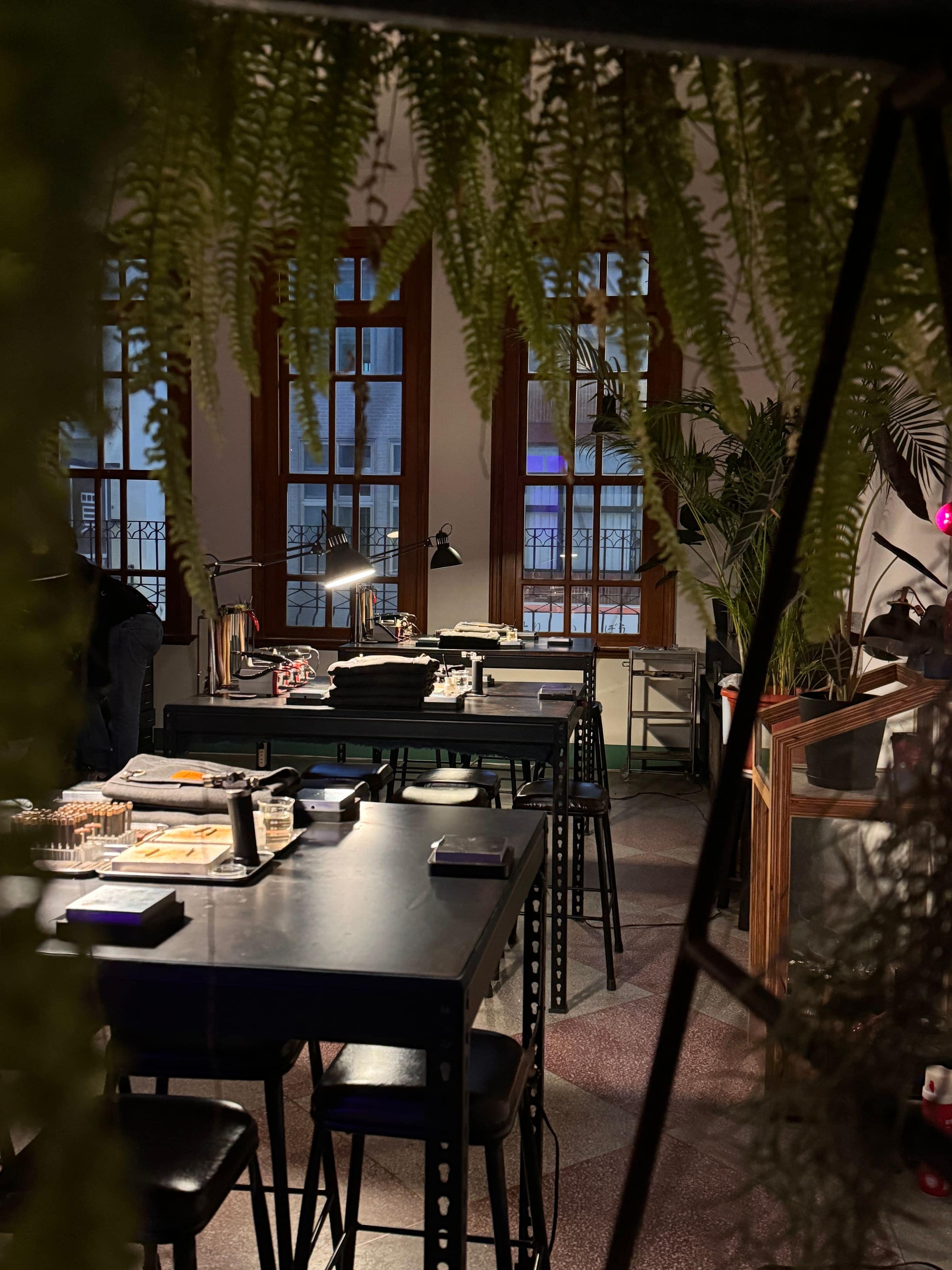 MixGene studio in a calm kind evening
